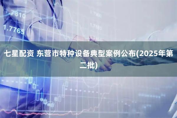 七星配资 东营市特种设备典型案例公布(2025年第二批)