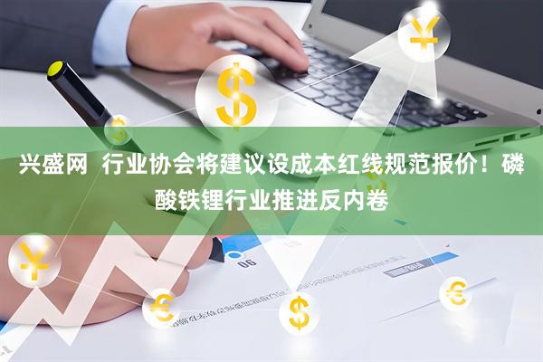 兴盛网 行业协会将建议设成本红线规范报价!磷酸铁锂行业推进反内卷
